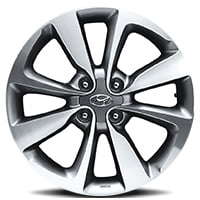 17 Inch Alloy
